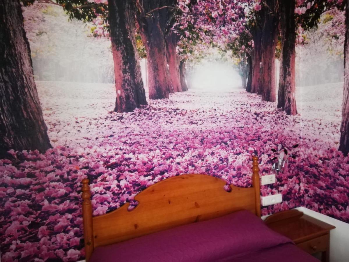 Hotel Poniente Moraleda De Zafayona エクステリア 写真